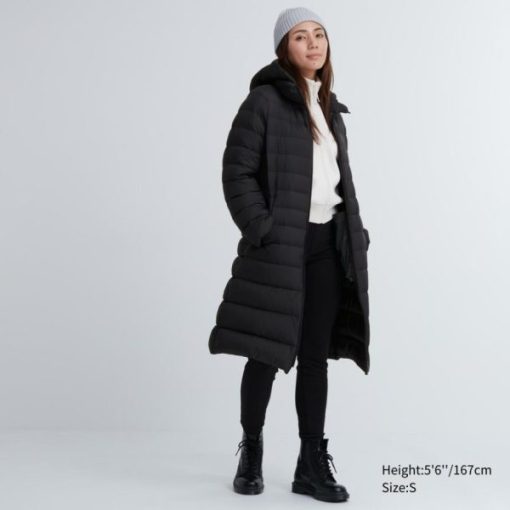 Shockhub.shopcc2a82003f 1